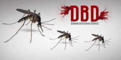 11 Cara Pencegahan Demam Berdarah Dengue (DBD) di Rumah